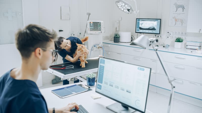 Gewerbefläche mit Entwicklungspotenzial und Zukunft (9)