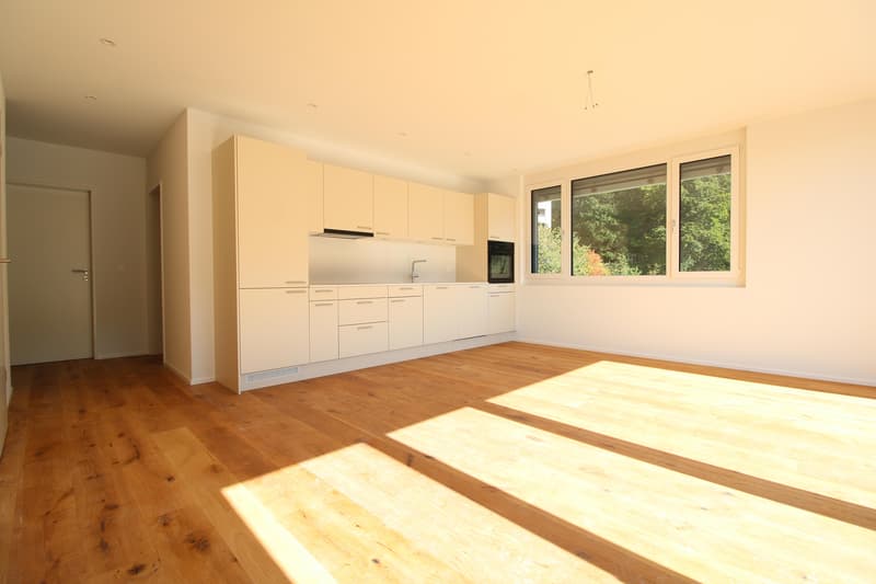 2.5 room apartment in St. Gallen (5)