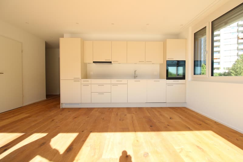 2.5 room apartment in St. Gallen (4)