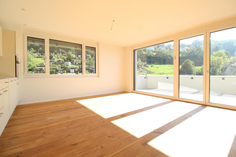 2.5 room apartment in St. Gallen (3)