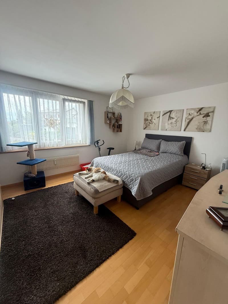 Appartamento di 3.5 locali in una zona tranquilla a Bettwiesen (3)