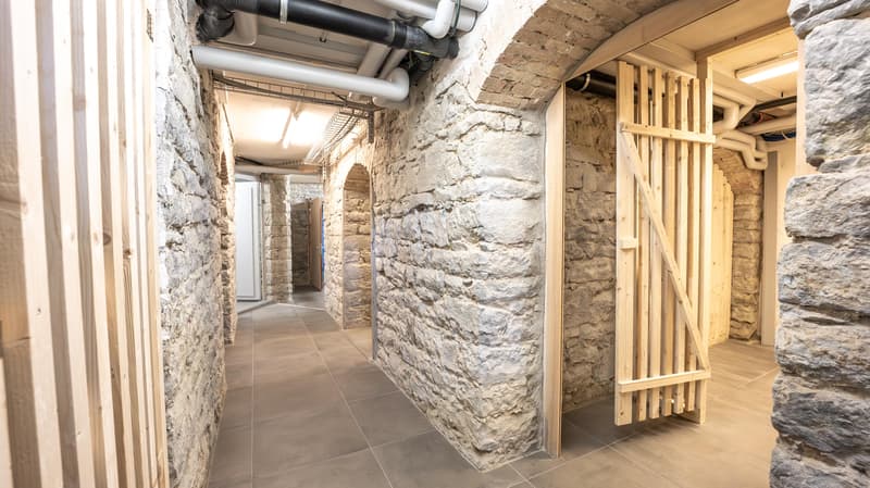 1.5 Zimmerwohnung in St. Gallen (13)