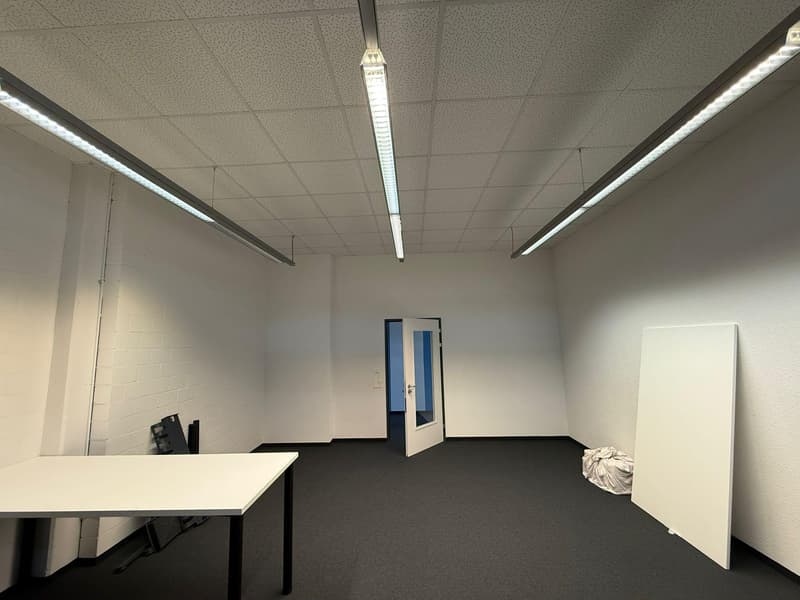 Commercial property in Rorschach (5)