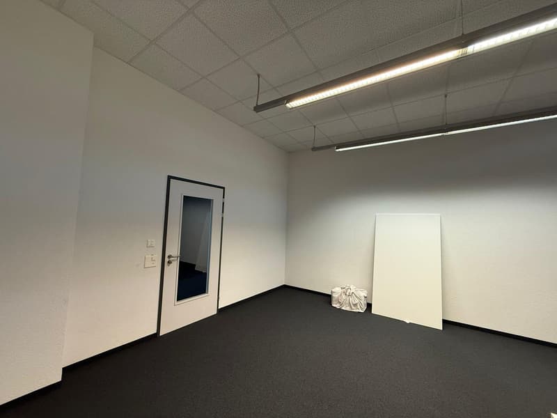 Commercial property in Rorschach (10)