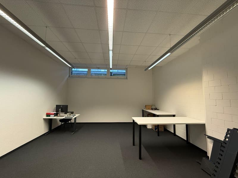 Commercial property in Rorschach (9)