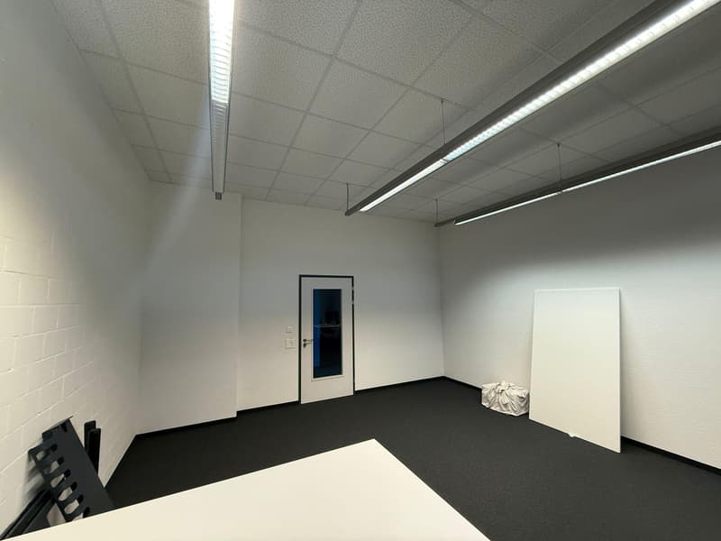 Commercial property in Rorschach (6)