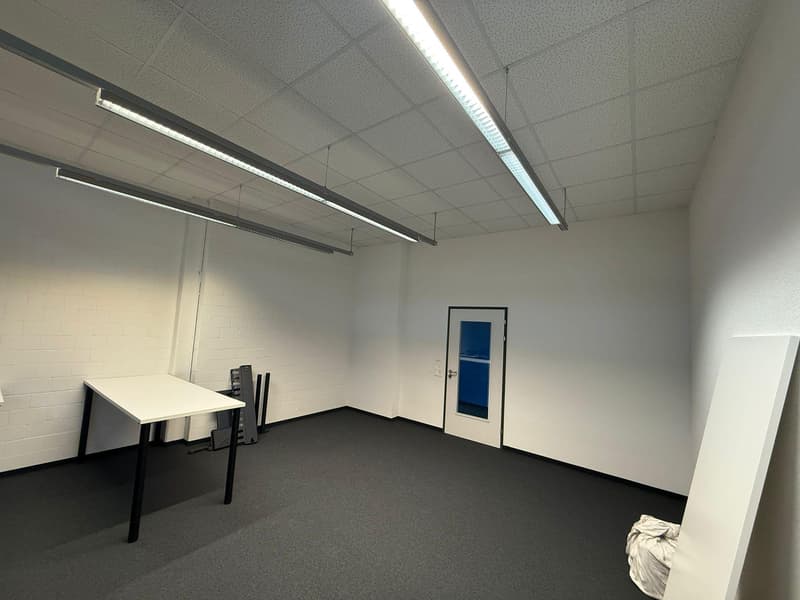 Commercial property in Rorschach (7)