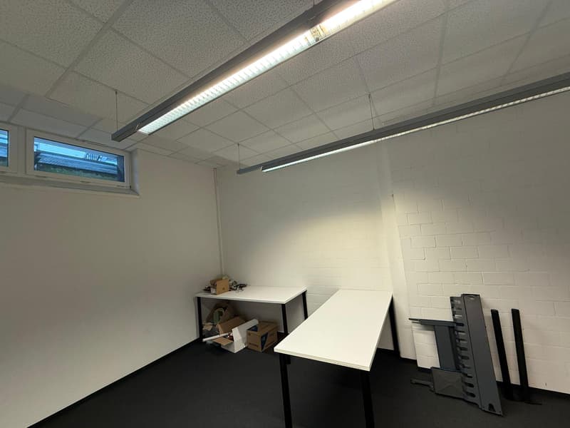 Commercial property in Rorschach (12)