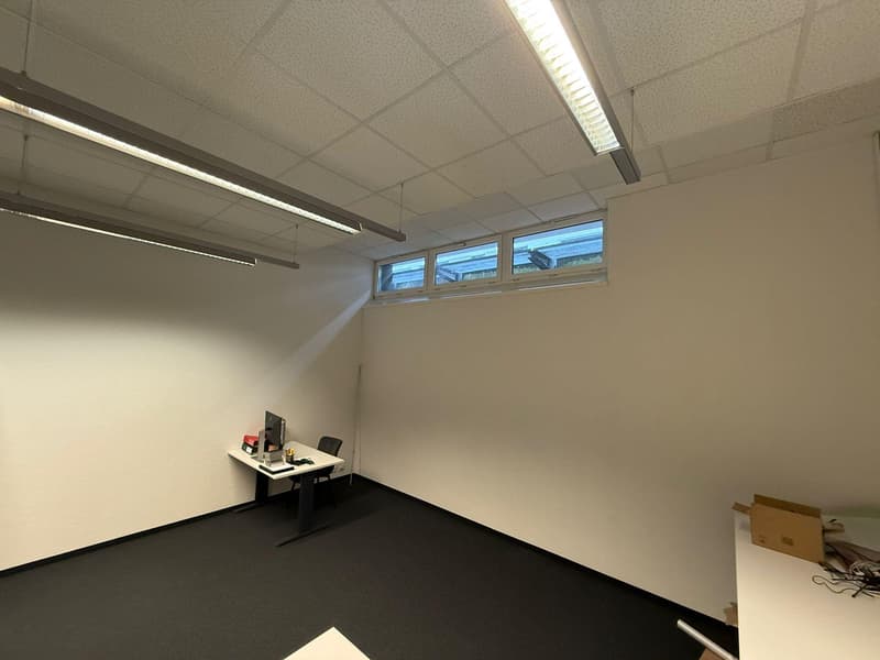 Commercial property in Rorschach (2)