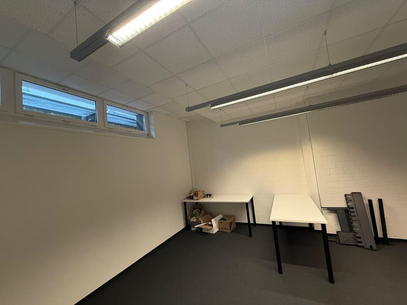 Commercial property in Rorschach (4)