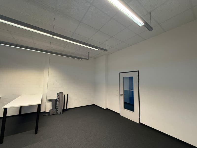 Commercial property in Rorschach (8)