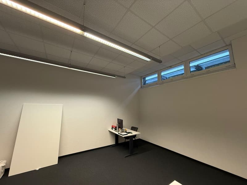 Commercial property in Rorschach (11)