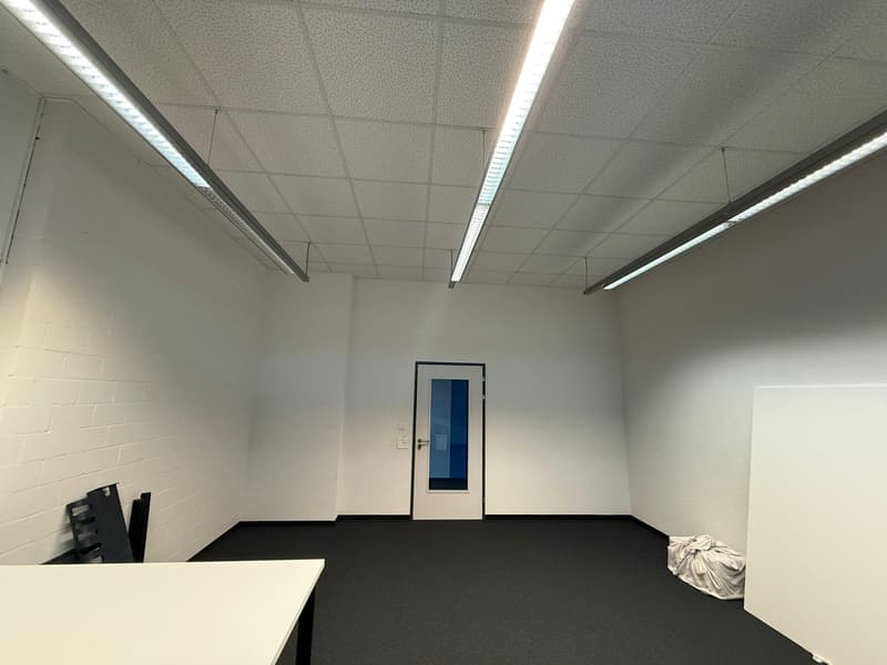 Commercial property in Rorschach (3)
