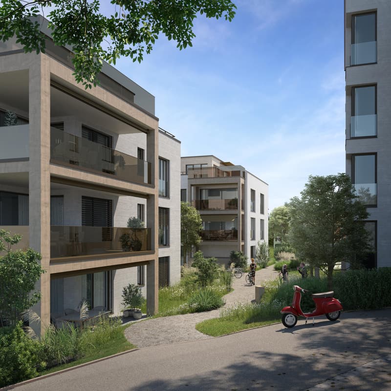 Premier occupation d'appartements 3.5 pièces dans le quartier de Bruggen (2)