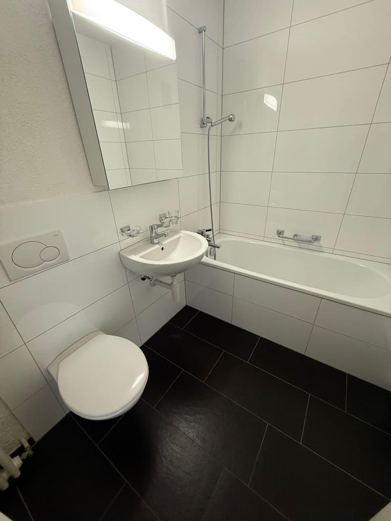 1.5 room apartment in Amriswil (6)