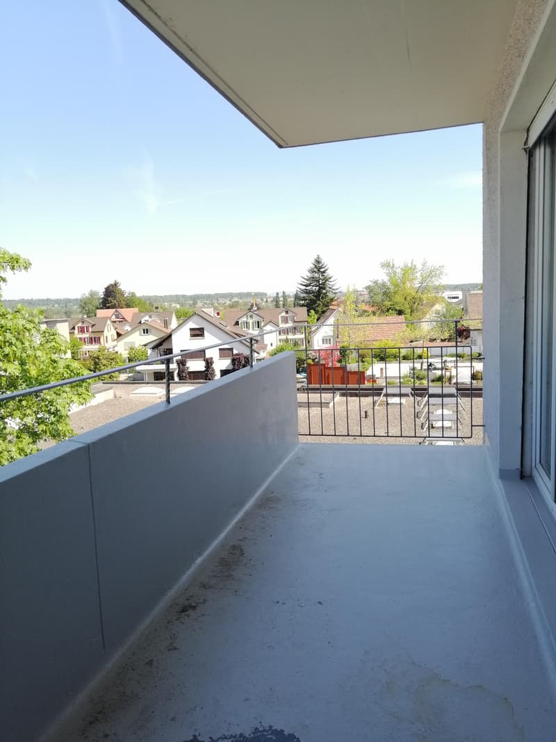 1.5 room apartment in Amriswil (7)