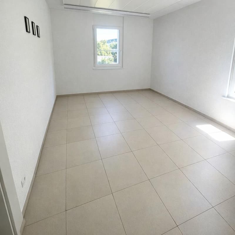 Commercial property in St. Gallen (2)