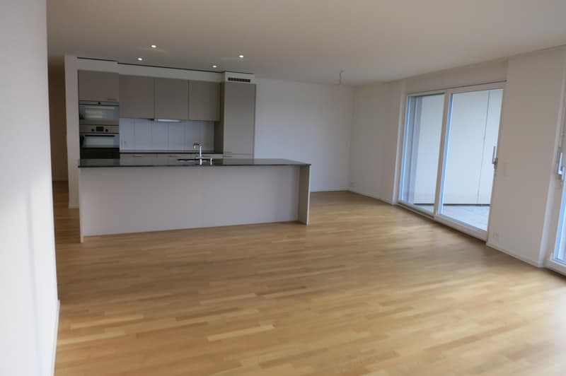 Attraktive 2½-Zimmer-Attikawohnung mit grosser Terrasse und Weitsicht in Kreuzlingen (3)