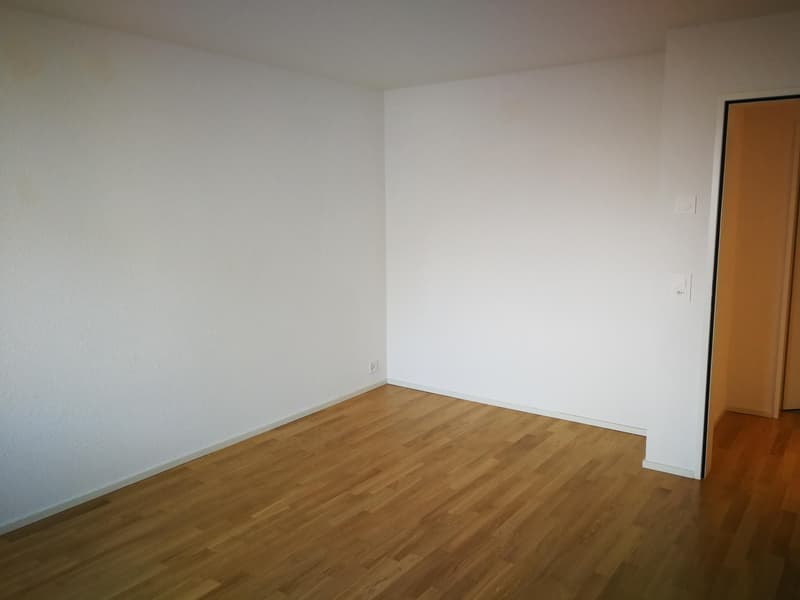Attraktive 2½-Zimmer-Attikawohnung mit grosser Terrasse und Weitsicht in Kreuzlingen (7)