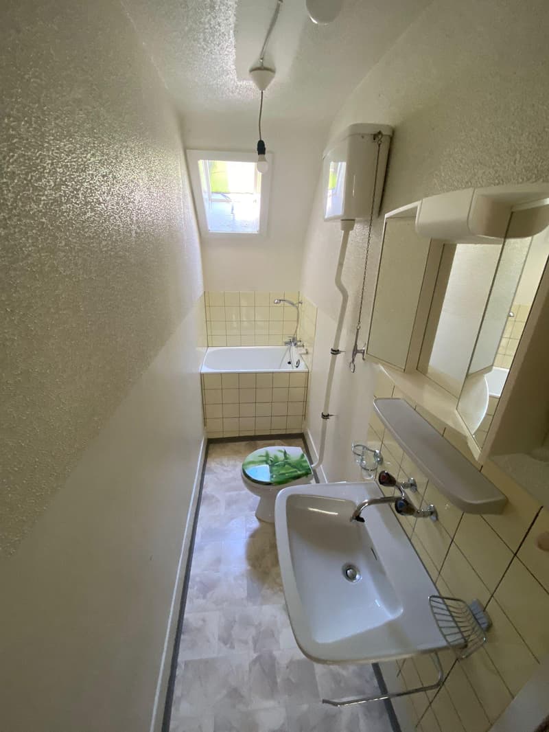 Befristete 4.5 Zimmerwohnung in St. Gallen (11)