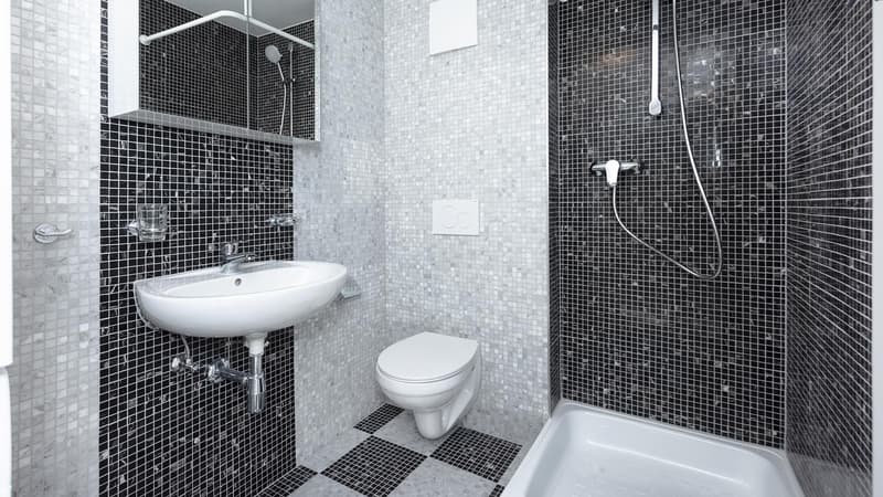 2.0 bedroom apartment in St. Gallen (7)