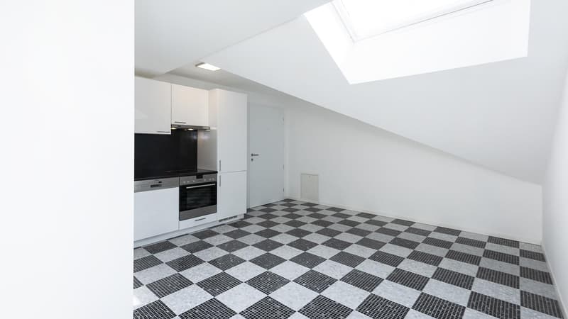 2.0 bedroom apartment in St. Gallen (2)