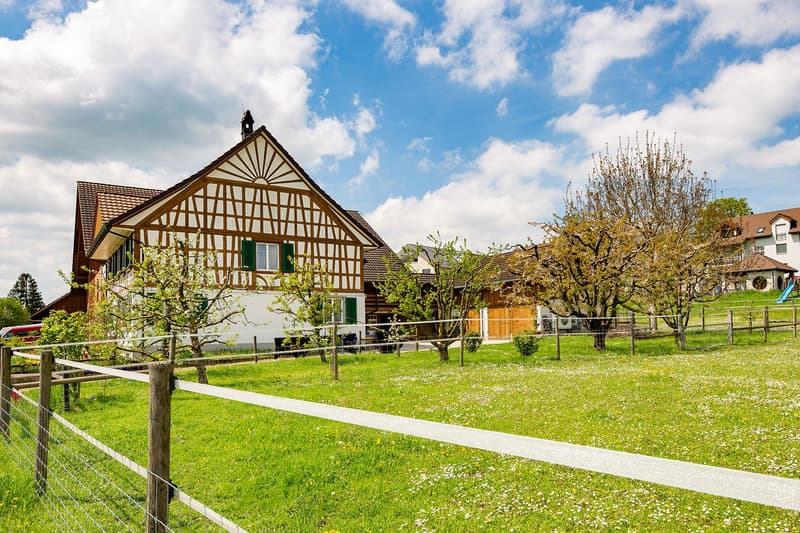 4.5-Room Apartment Modern Smart-Home in the Green with Free Internet included! (13)