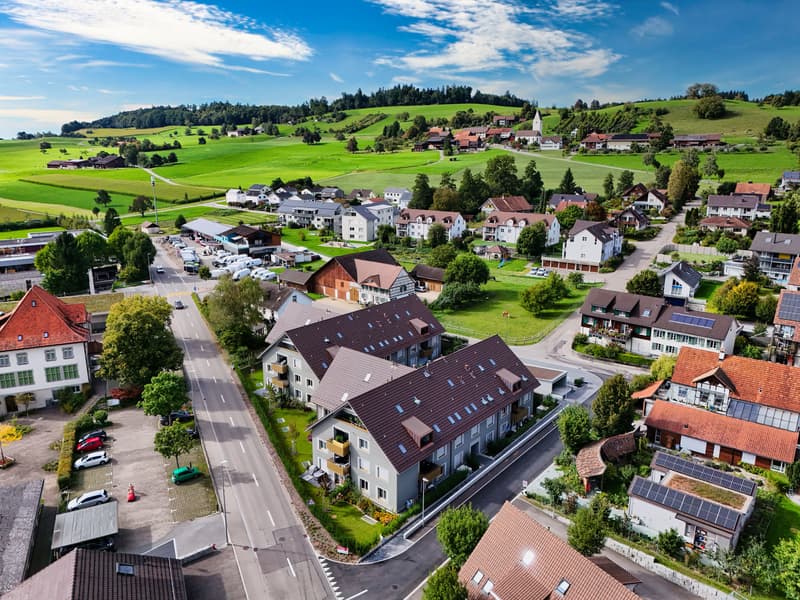 Appartamento 2.5 locali Smart-Home moderno nel verde con Internet gratuito incluso! (3)