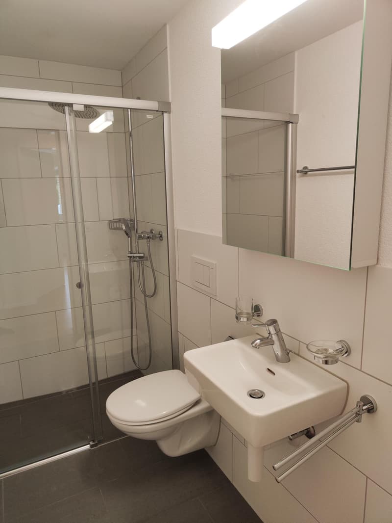 Moderne 3.5-Zimmer-Erdgeschosswohnung mit grosszügigem Sitzplatz (6)