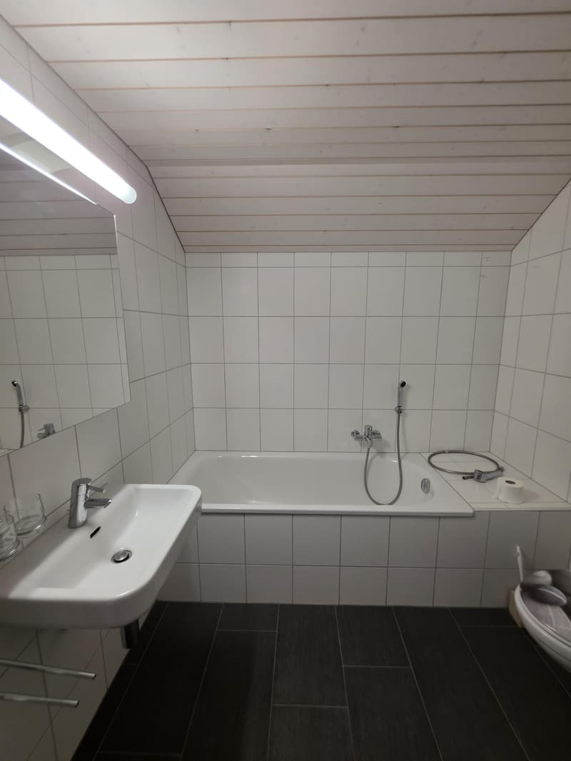 2.5 Room Loft Apartment in the Center of Amriswil (8)