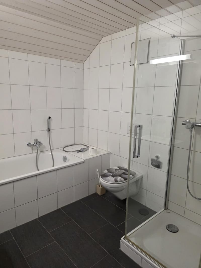 2.5 Room Loft Apartment in the Center of Amriswil (7)