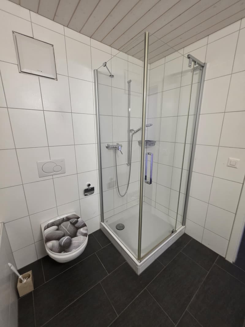 2.5 Room Loft Apartment in the Center of Amriswil (9)