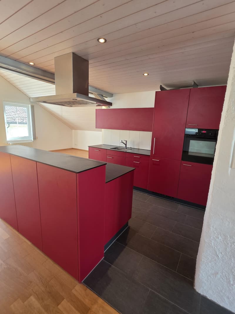 2.5 Room Loft Apartment in the Center of Amriswil (2)