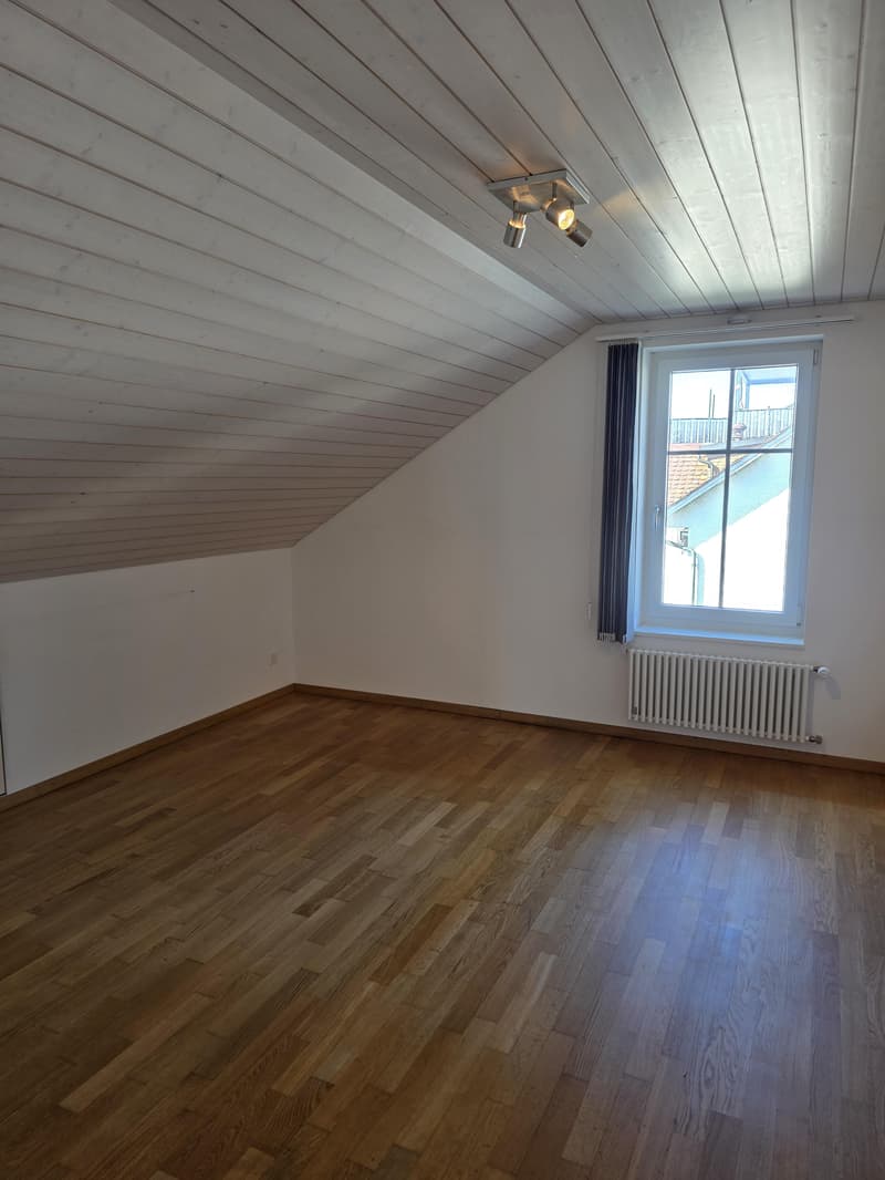 2.5 Room Loft Apartment in the Center of Amriswil (6)