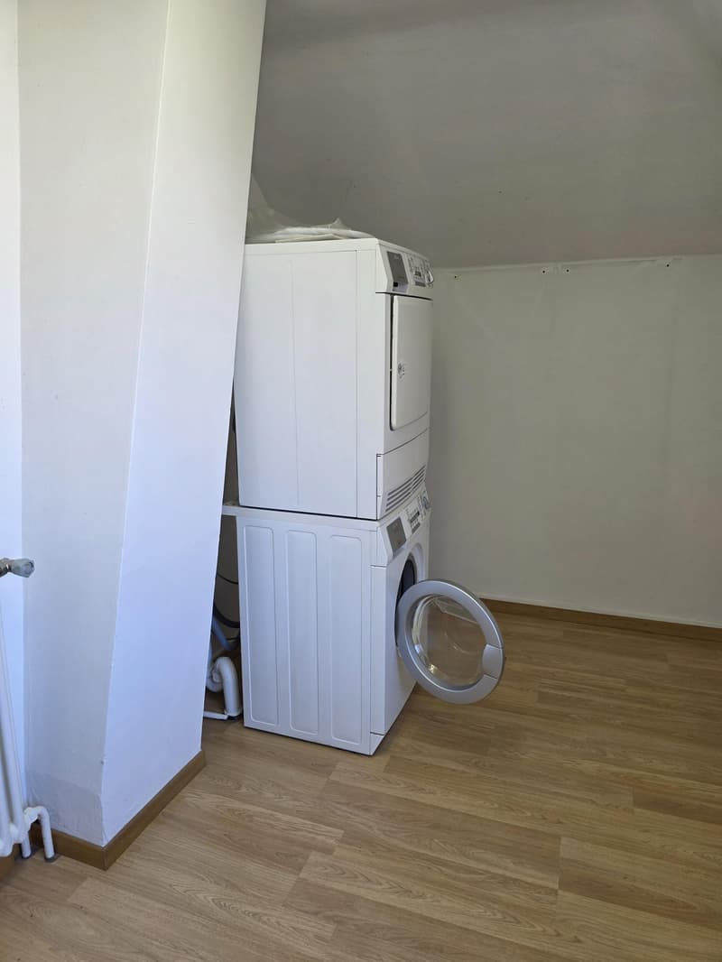 2.5 Room Loft Apartment in the Center of Amriswil (11)