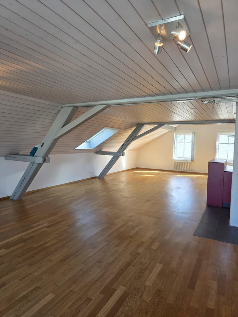 2.5 Room Loft Apartment in the Center of Amriswil (4)