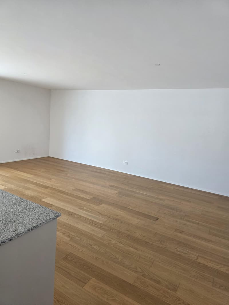 Modern 2.5-room attic apartment in a central location in Amriswil (7)