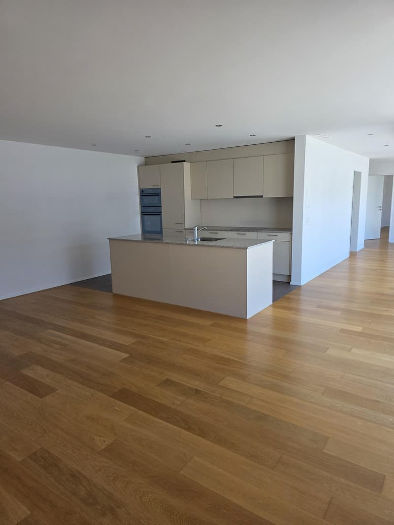 Modern 2.5-room attic apartment in a central location in Amriswil (6)