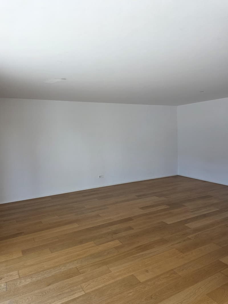Modern 2.5-room attic apartment in a central location in Amriswil (9)