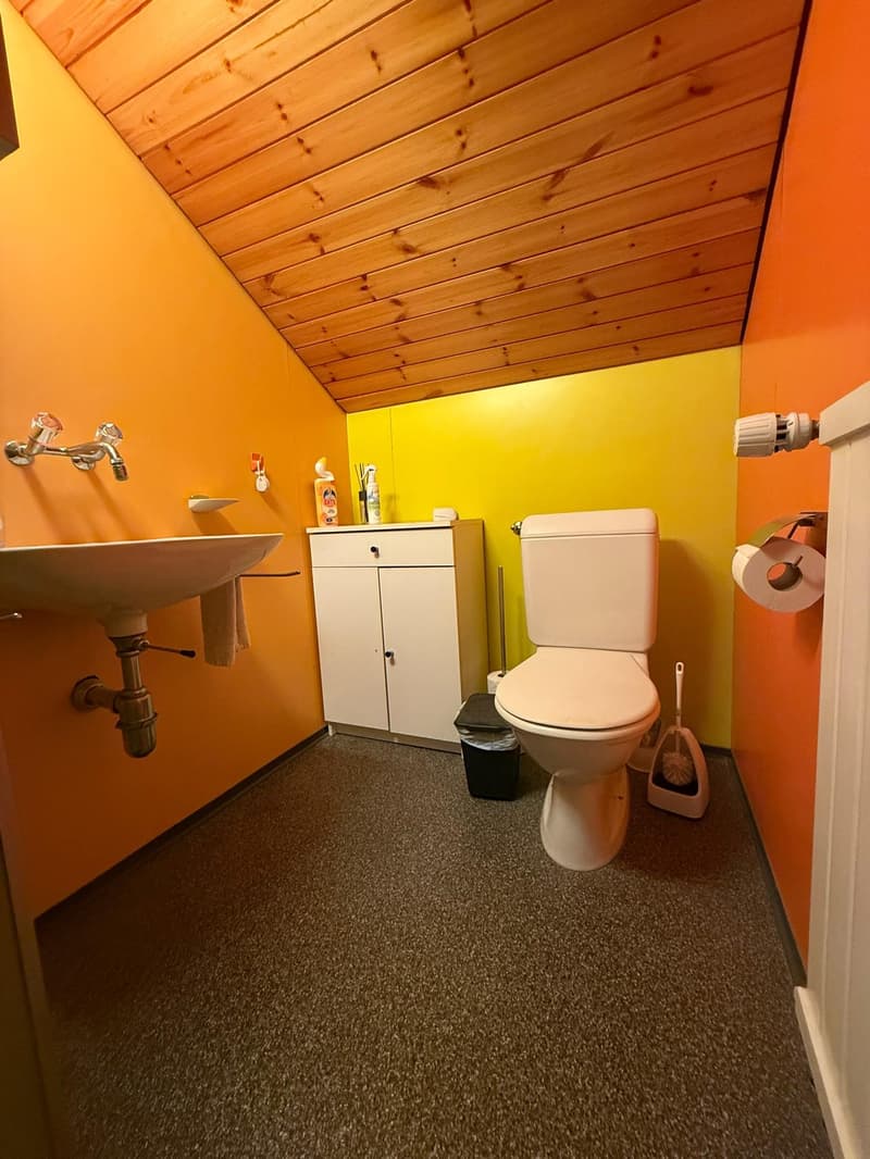 Appartement spacieux de 5,5 pièces dans un quartier calme à Niederteufen (7)
