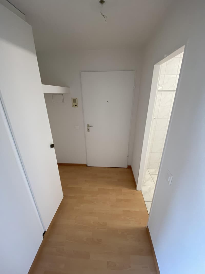 Bella appartamento 1.5 locali ad Arbon (3)