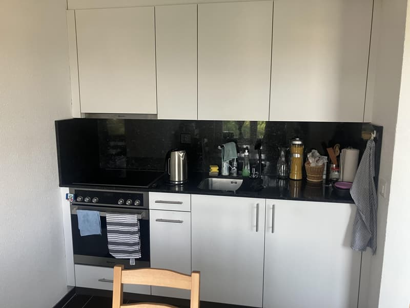 Bella appartamento 1.5 locali ad Arbon (4)
