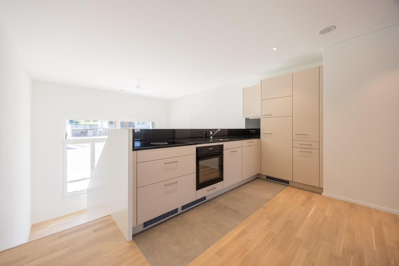Helle 3.5-Zimmer-Atelierwohnung mit Loggia (2)