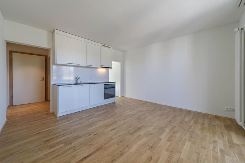 1.5 Zimmerwohnung in St. Gallen (3)