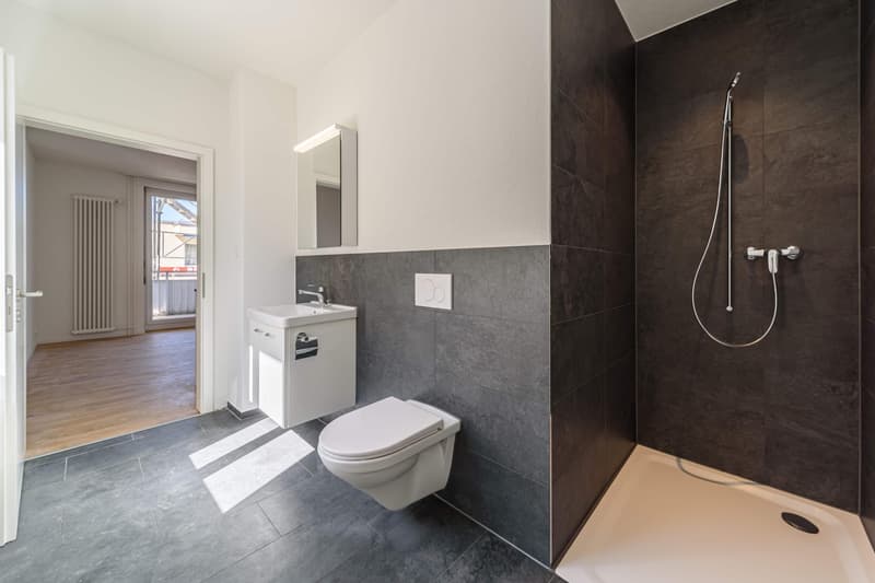 1.5 Zimmerwohnung in St. Gallen (7)