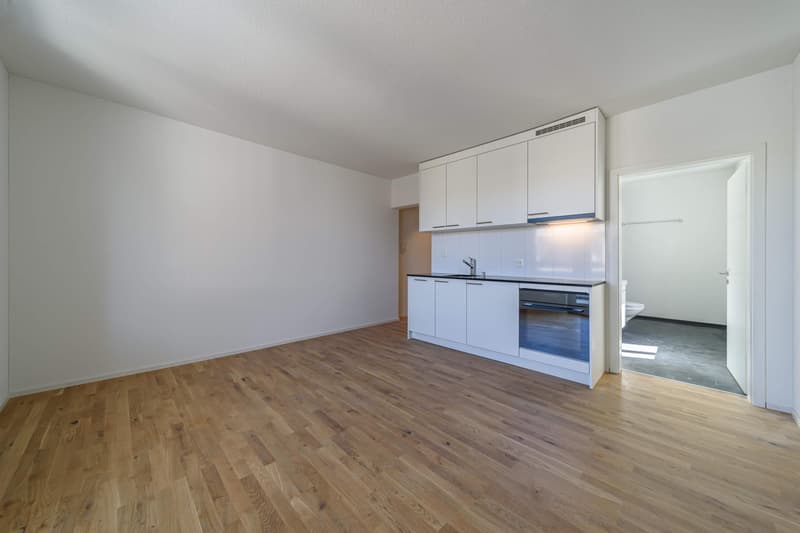 1.5 Zimmerwohnung in St. Gallen (4)