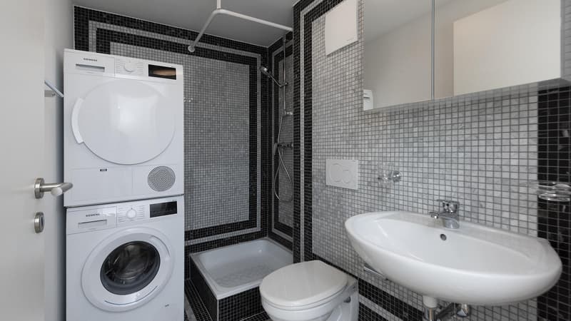 2.0 Zimmerwohnung in St. Gallen (5)