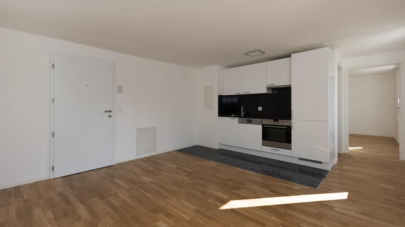 2.0 Zimmerwohnung in St. Gallen (3)