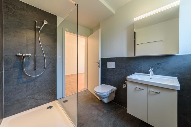 3.5 Zimmerwohnung in St. Gallen (7)