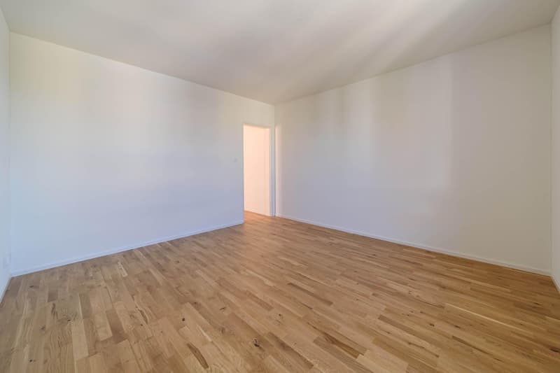 3.5 Zimmerwohnung in St. Gallen (4)